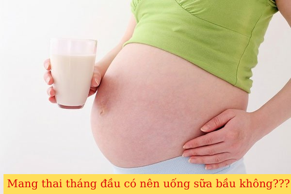 mang thai tháng đầu có nên uống sữa bầu không, nên uống sữa bầu vào tháng thứ mấy, có nên uống sữa bầu trong 3 tháng đầu, bà bầu uống sữa giờ nào trong ngày là tốt nhất, bà bầu có nên uống sữa ban đêm, bầu không uống sữa có sao không
